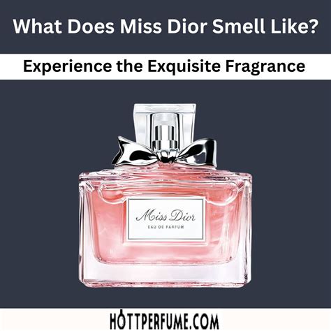 exposition miss dior|what does Miss Dior smell like.